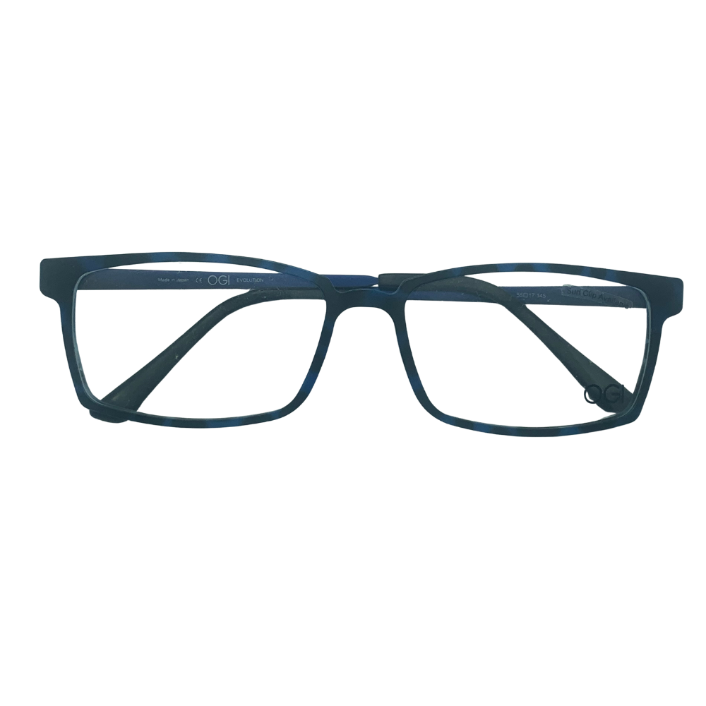 OGI EYEGLASSES FRAME EVOLUTION 4810 BLUE/TORTOISE FULL RIM