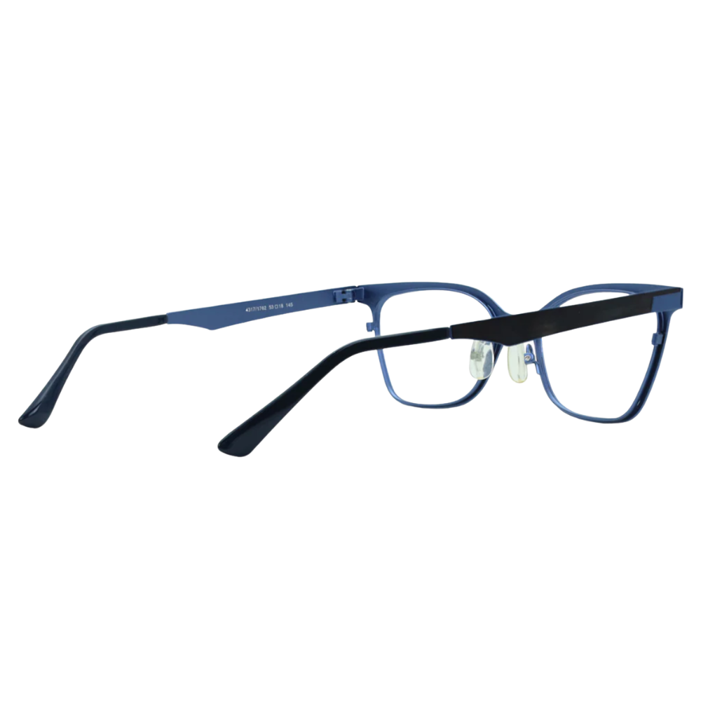 OGI - 4317 Brushed Powder Blue/Brushed Byzantium Violet/Brushed Black